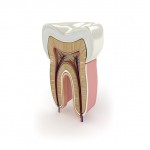 Ce este un tratament endodontic și în ce constă?