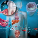 Sănătatea orală: O fereastră pentru starea  generală de sănătate